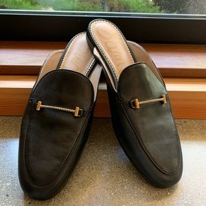 Sam Edelman Mule